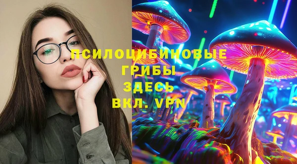 кокс Богородицк