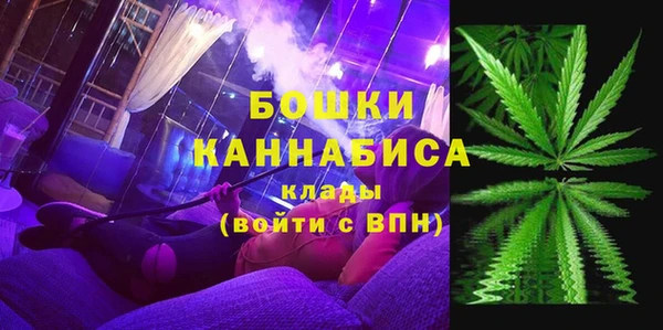 кокс Богородицк