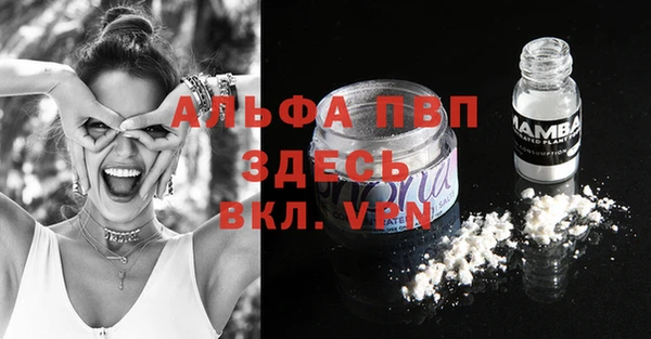 кокс Богородицк